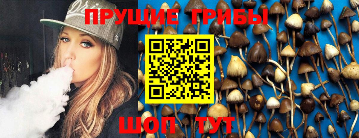 Галлюциногенные грибы прущие грибы Советск
